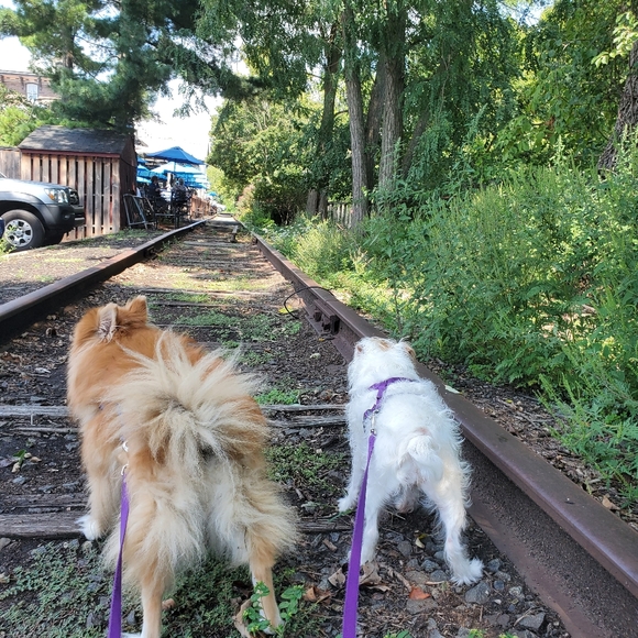 Loki LittleBear 2006-2020 (RSVP delayed shipments) - Picture 12 of 14